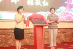 出汤庄镇液压机械集群成长策略性